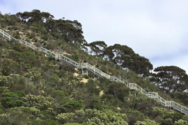 Kangaroo Island Boardwalk and Stairs - Wagners