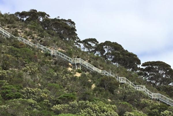 Kangaroo Island Boardwalk and Stairs - Wagners