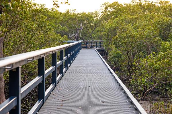 Huskisson - 14