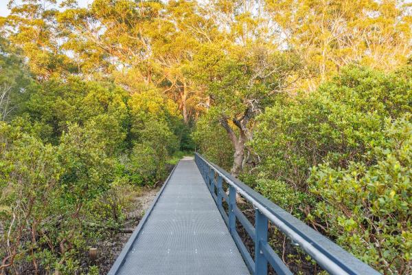 Huskisson - 15