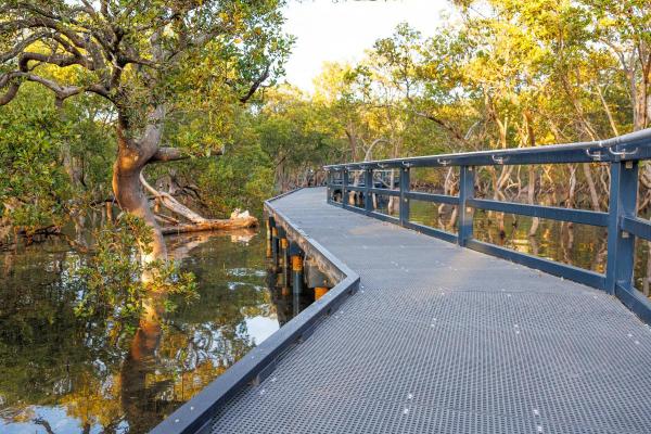 Huskisson - 25