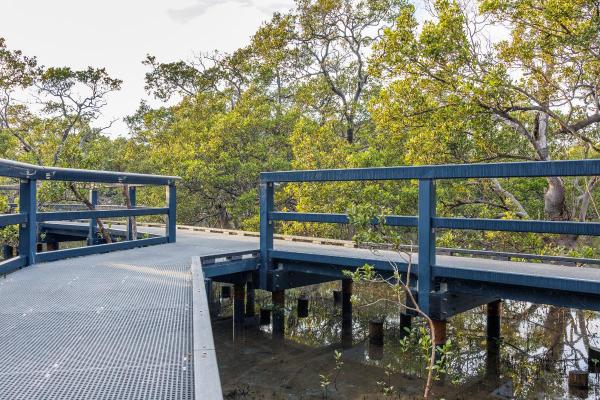 Huskisson - 41