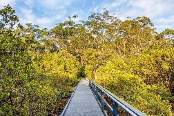 Huskisson - 45