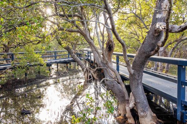 Huskisson - 51
