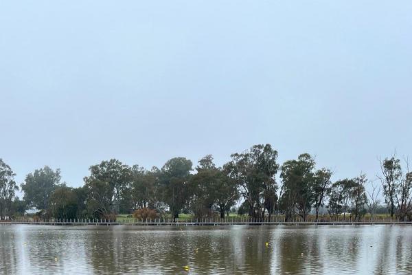 Nagambie Foreshore Walk - 7