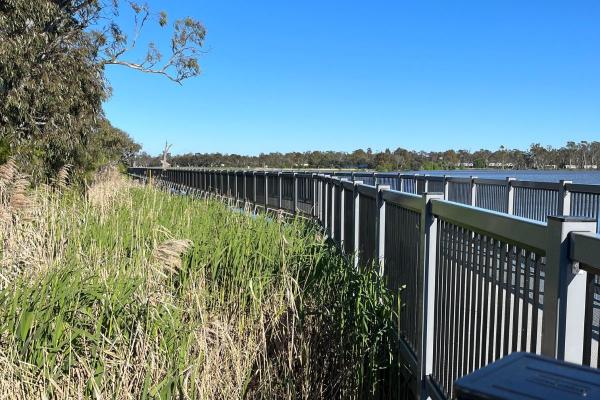 Nagambie Foreshore Walk - 8