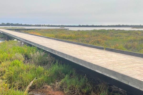 Goegrup Lake Boardwalk 3