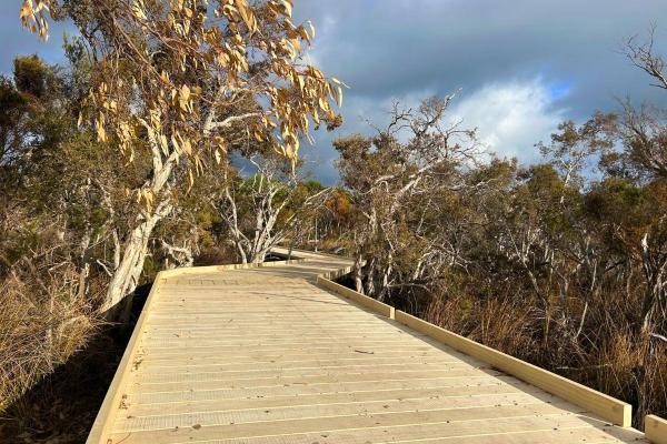 Len Howard Nature Trail 12