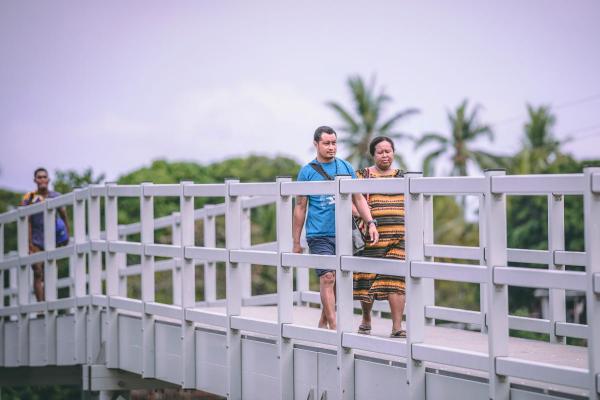 Lea lea Bridge Update 10