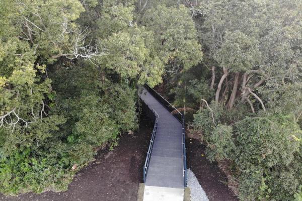 Dalgety Street 6