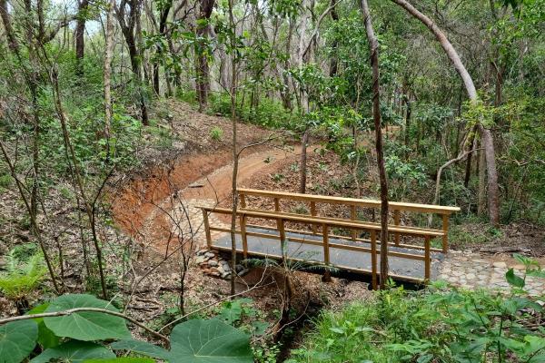 Wangetti Trail 3