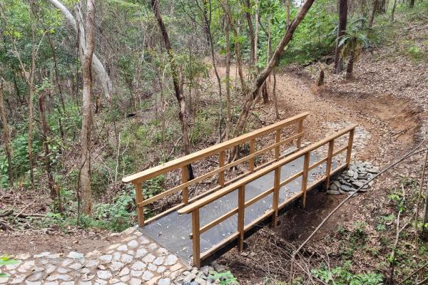 Wangetti Trail 4