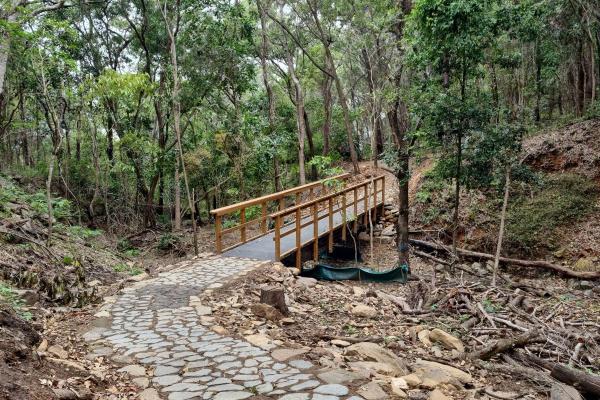 Wangetti Trail 7