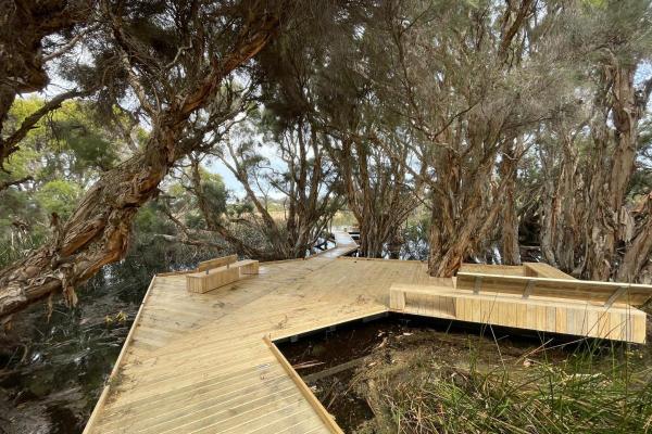 Luisini Boardwalk - 17