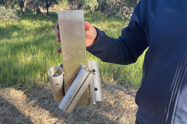 Luisini Boardwalk - 2