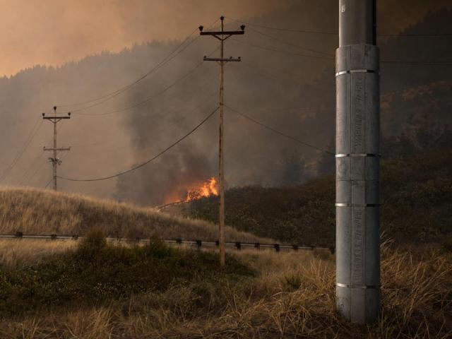 Pole Shield | Bushfire Protection for FRP Utility Poles